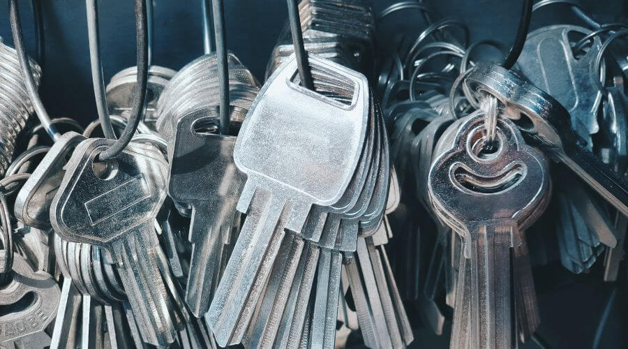 Professional gutter cleaning in Springfield Gardens, NY